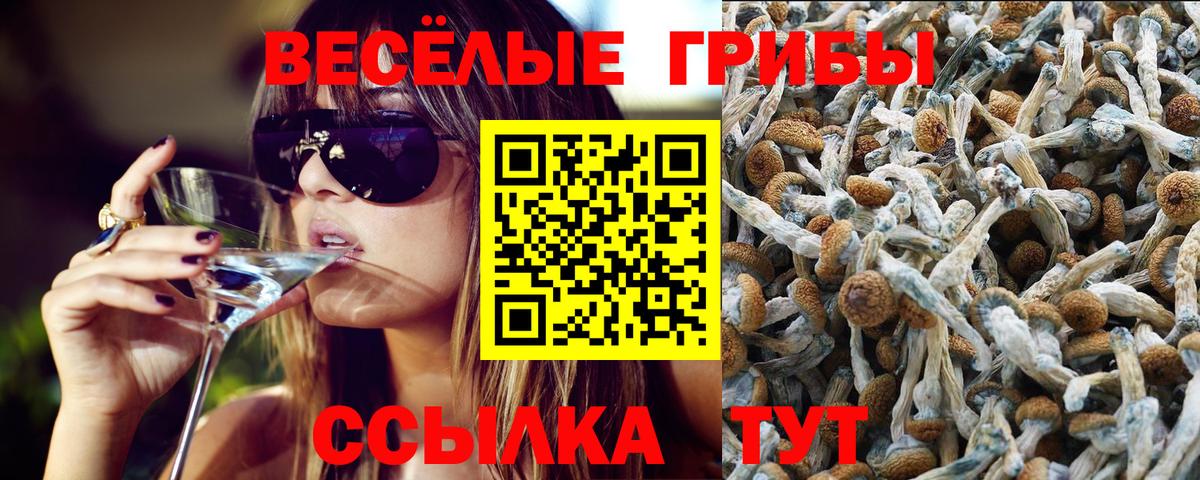 Горячий Ключ  Галлюциногенные грибы прущие грибы  Вход с VPN 