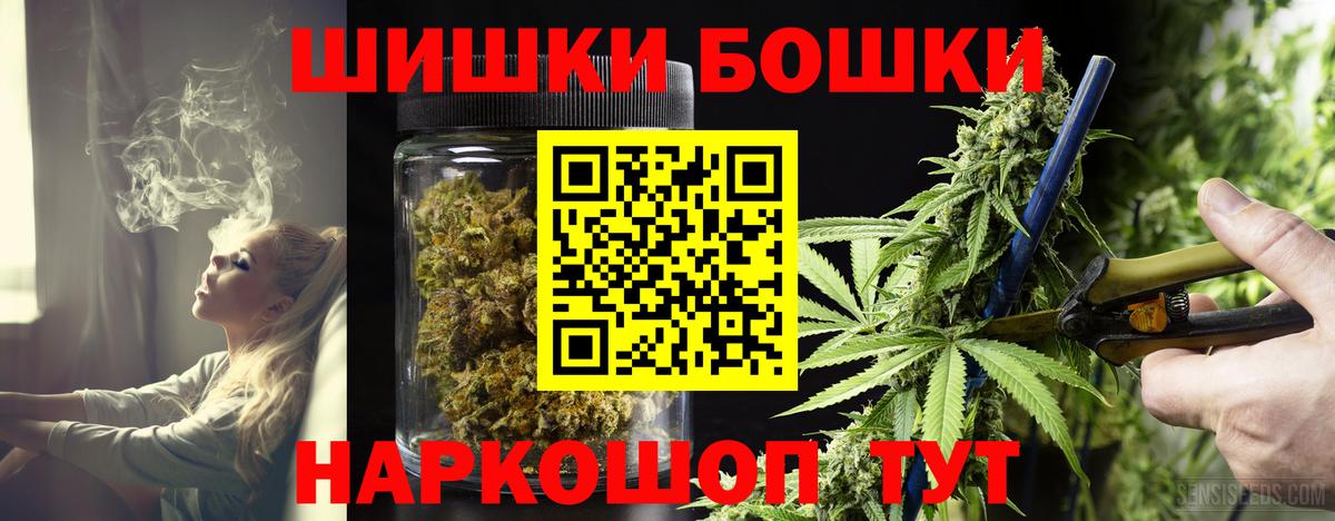 Каннабис планчик Горячий Ключ
